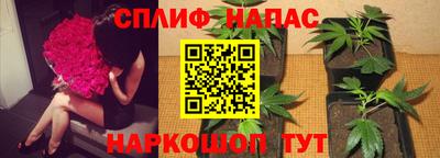 ешки Апшеронск