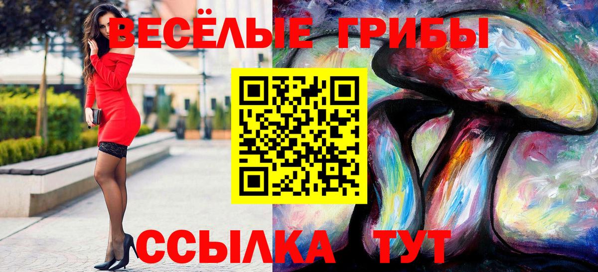 Псилоцибиновые грибы MAGIC MUSHROOMS  Вход с VPN  Галлюциногенные грибы мицелий  Бердск 