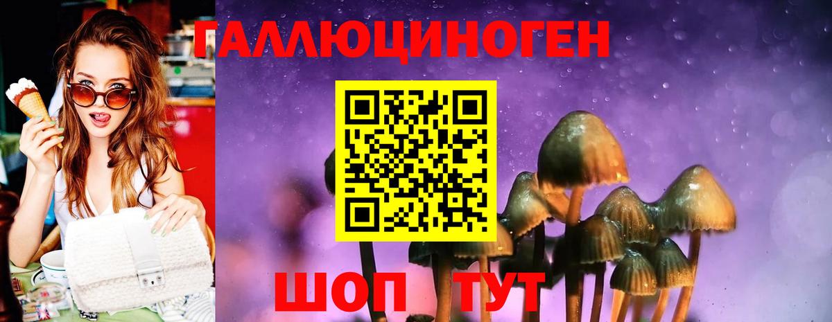 Псилоцибиновые грибы Magic Shrooms Бердск